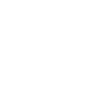 Une intelligence qui évolue